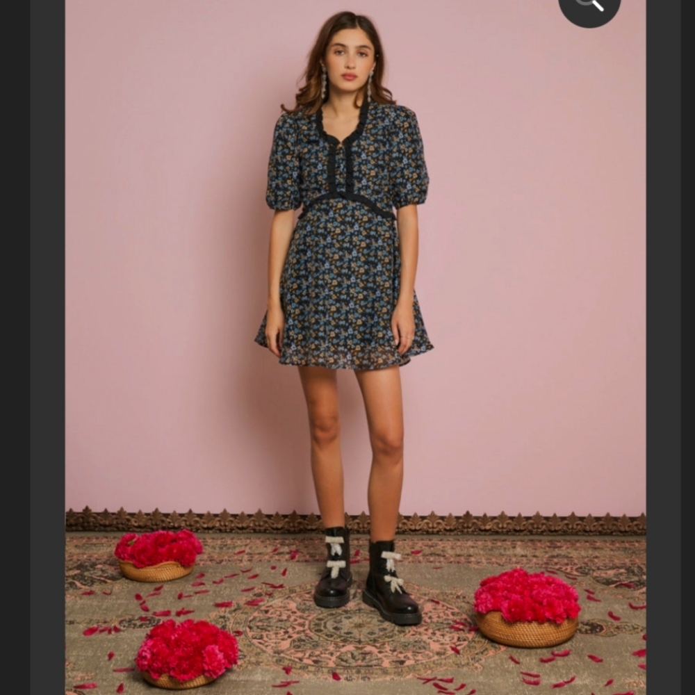 Sister Jane Organza Mini Dress